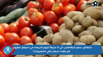 انخفاض سعر البطاطس إلى 12 جنيهاً اليوم الأربعاء في أسواق مطروح.. كم بلغت أسعار باقي الخضروات؟